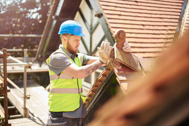 Best Shingle Roofing Installation  in Roodhouse, IL
